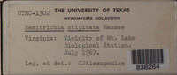Image Associated With the Occurence